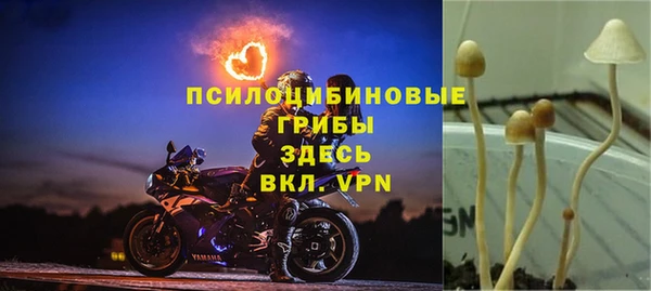 2c-b Алексеевка
