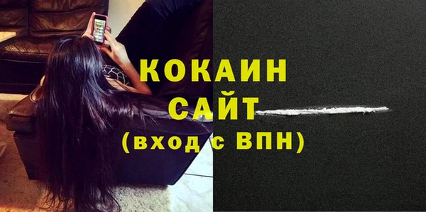 стаф Абинск