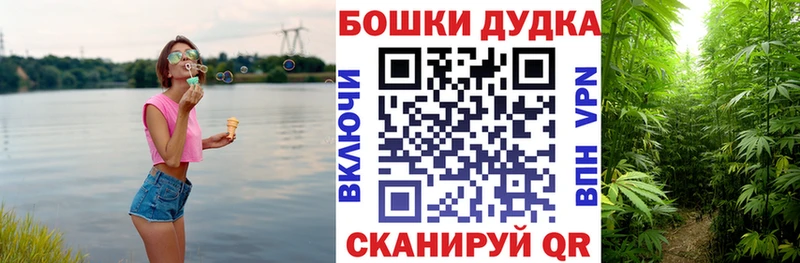 Бошки Шишки гибрид  наркота  Канск 